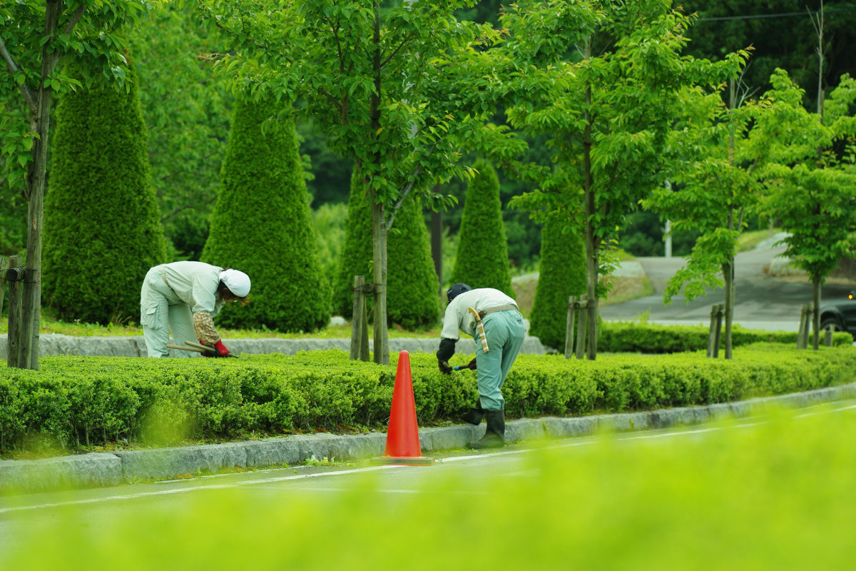 栃木県鹿沼市の造園・植木の施工管理、庭づくりのことならみどり産業の植木の公共工事（造園・土木）