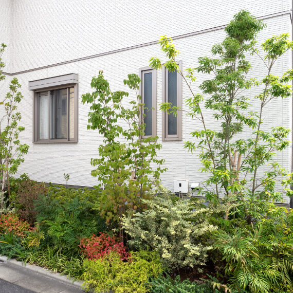 栃木県鹿沼市の造園・植木の施工管理、庭づくりのことならみどり産業の外構
