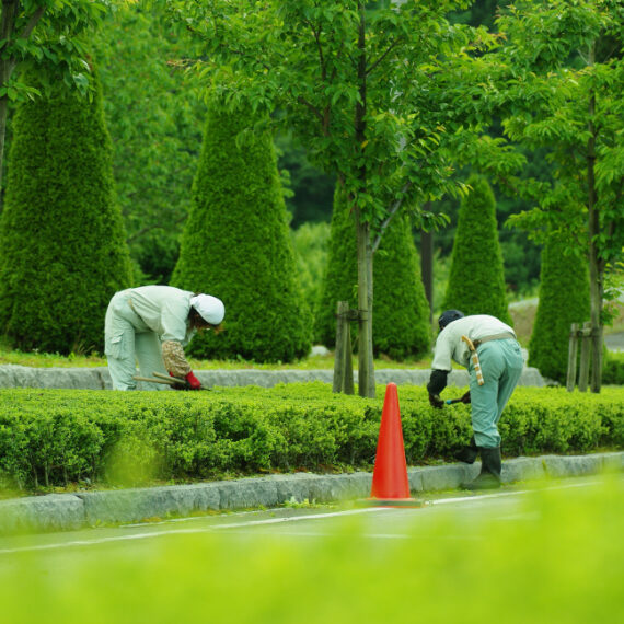 栃木県鹿沼市の造園・植木の施工管理、庭づくりのことならみどり産業の造園工事